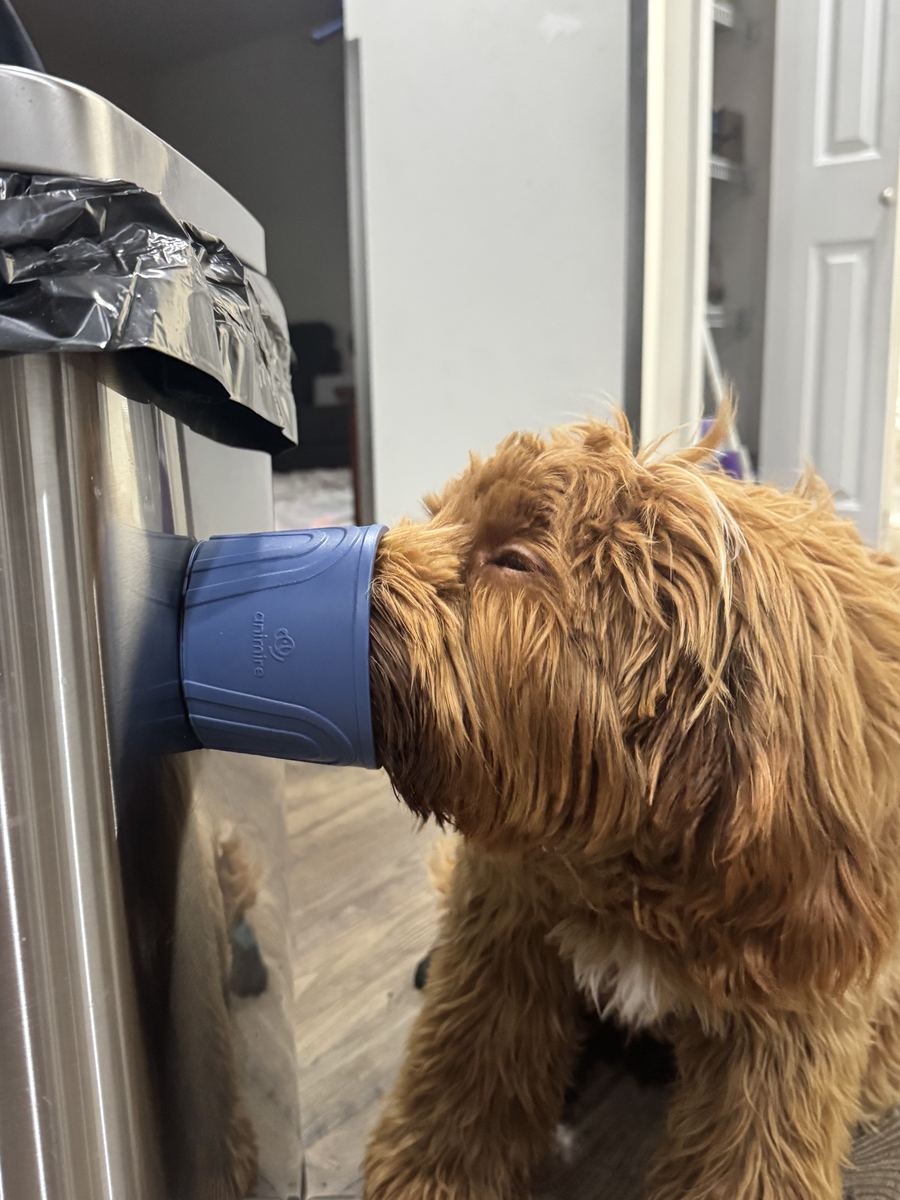 Leo drinking from a wall-mounted water fountain